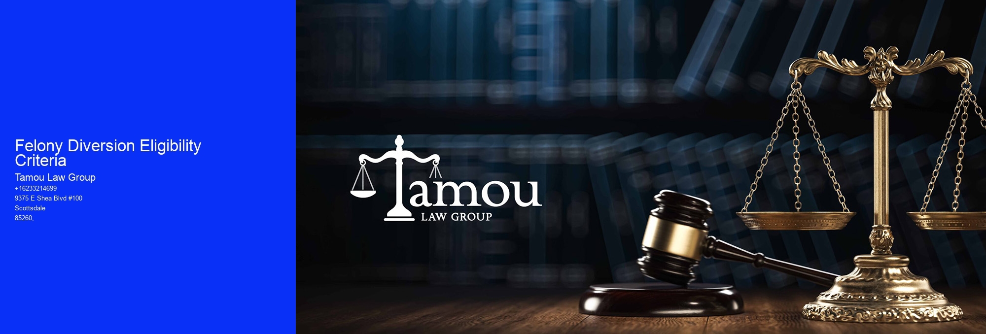 Felony Diversion Eligibility Criteria
